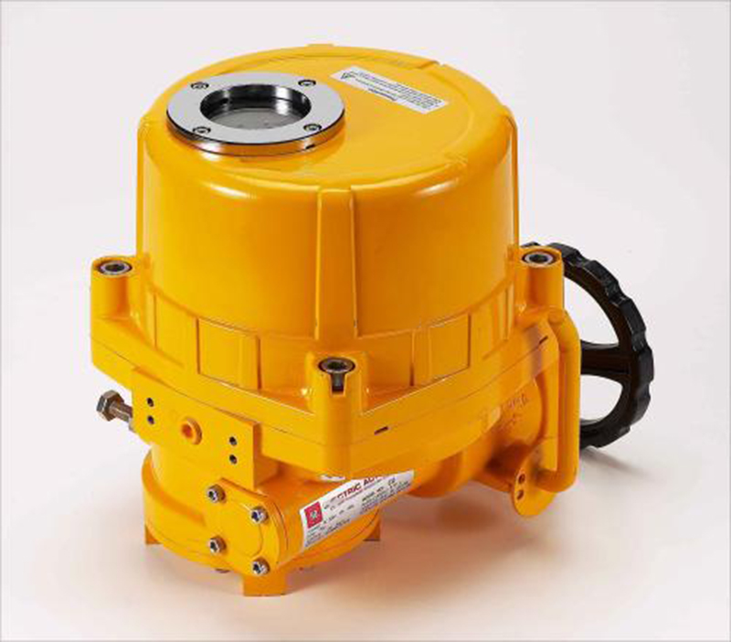 電動執(zhí)行器